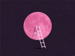 中秋节赏月的句子带图片 中秋团圆赏月的