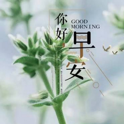 早安心语正能量图片带字大全 做好自己剩