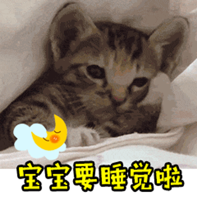 猫咪动态表情包大全2018 猫咪搞笑可爱g